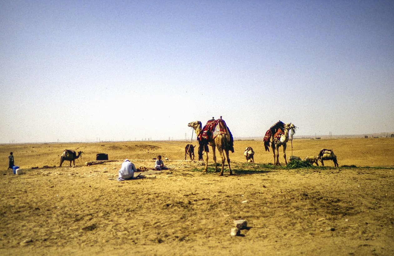 No deserto de Detlef B. Fischer