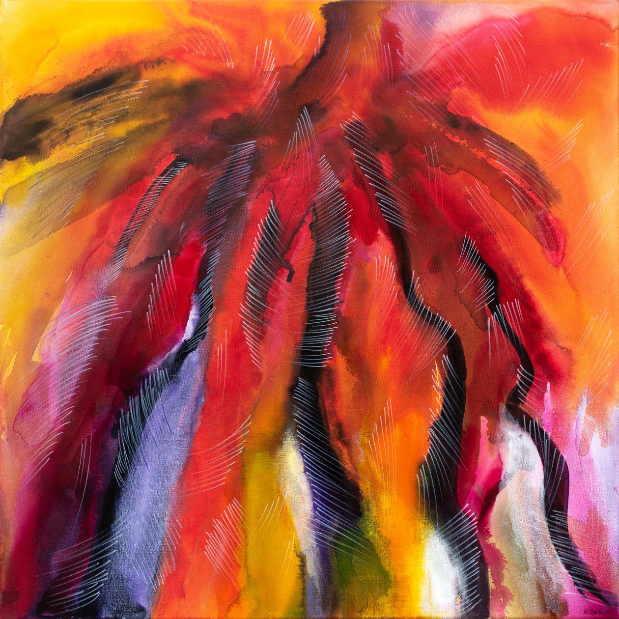 Medusa de fogo de H.Opitz