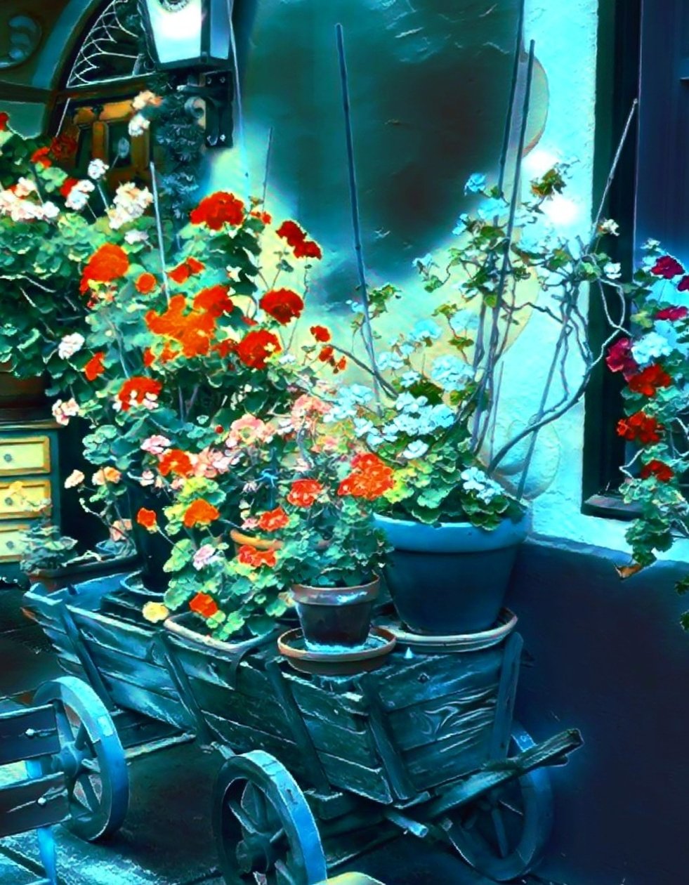 Flores ao luar. de Margareta Uliarte