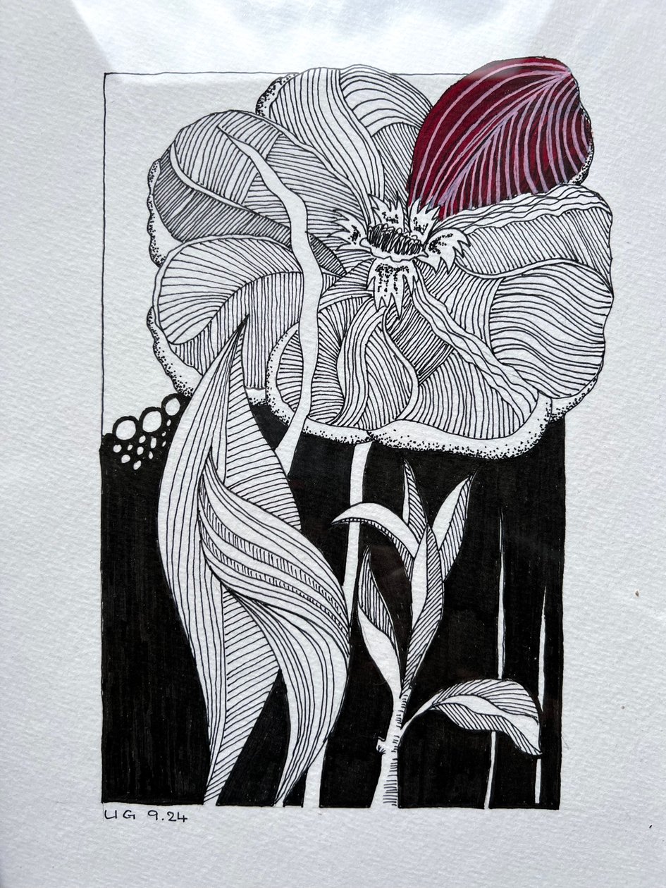 Florescer de Urs Grünenfelder