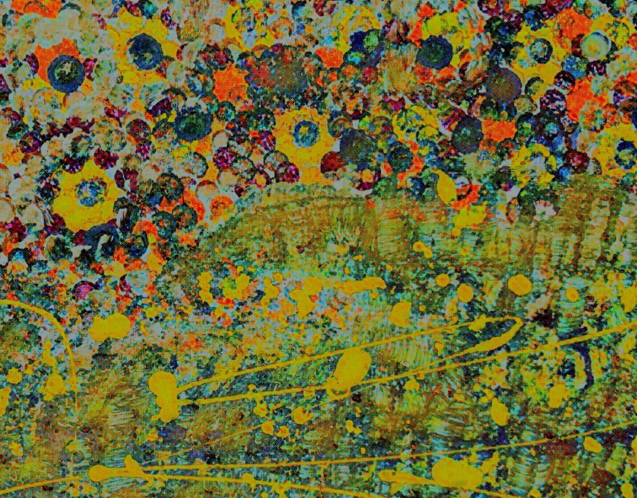 Sinfonia de flores. de Margareta Uliarte