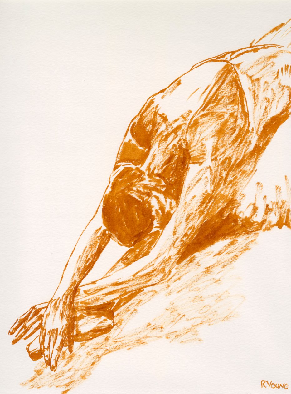 Cisne moribundo - Estudo de Richard Young
