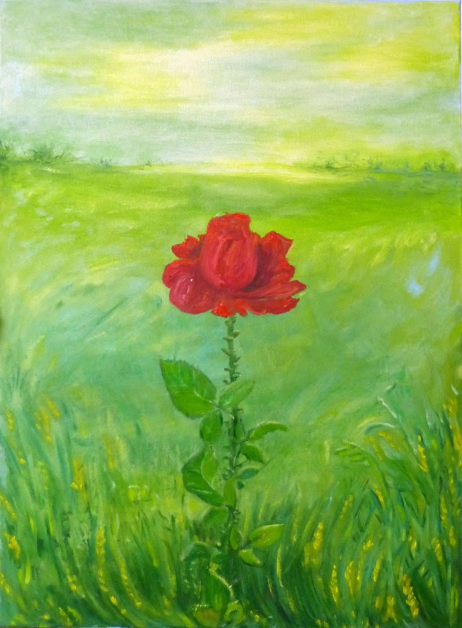 Rosa de Elzbieta Goszczycka
