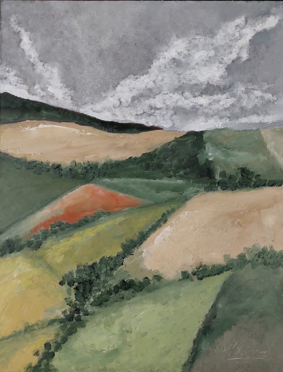 Campo de papoilas de M. Vet