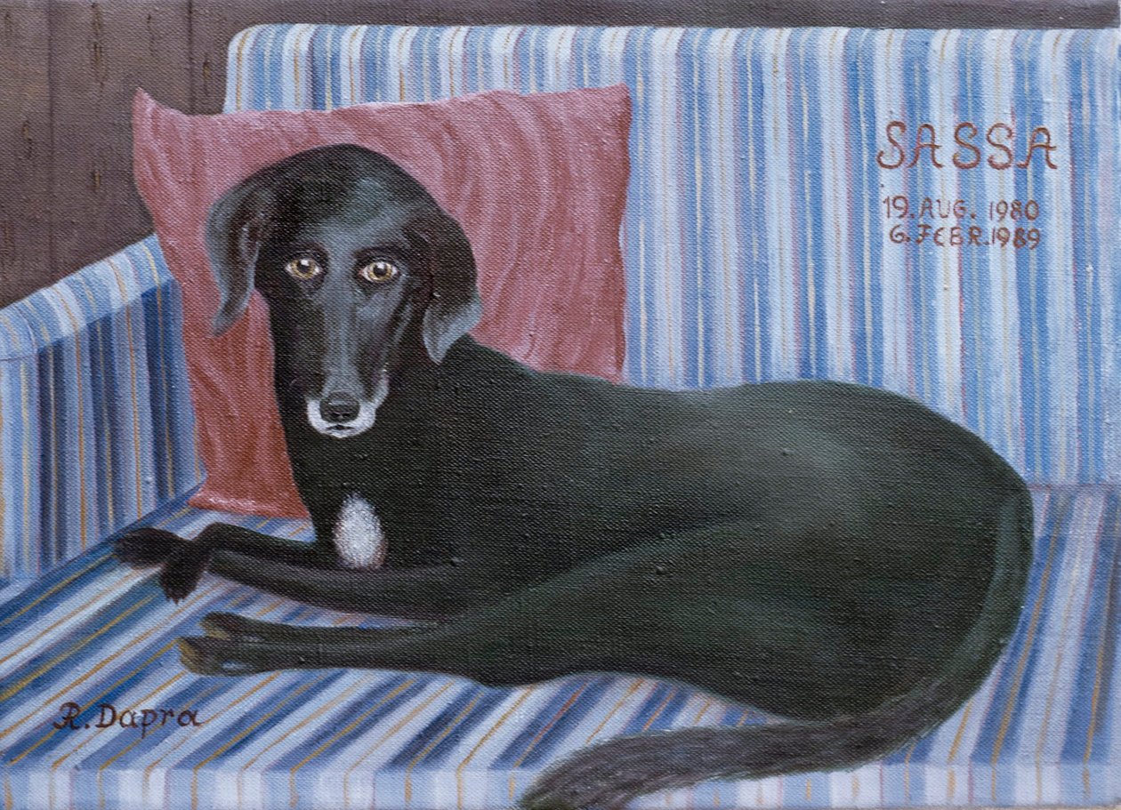 O nosso cão Sassa de Regine Dapra