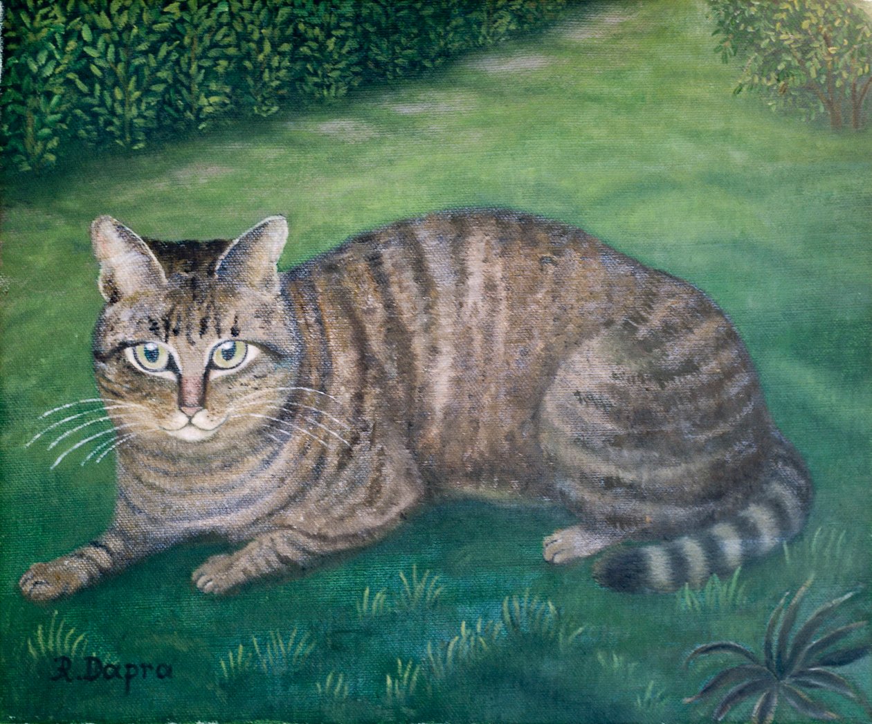 A gata Júlia de Regine Dapra