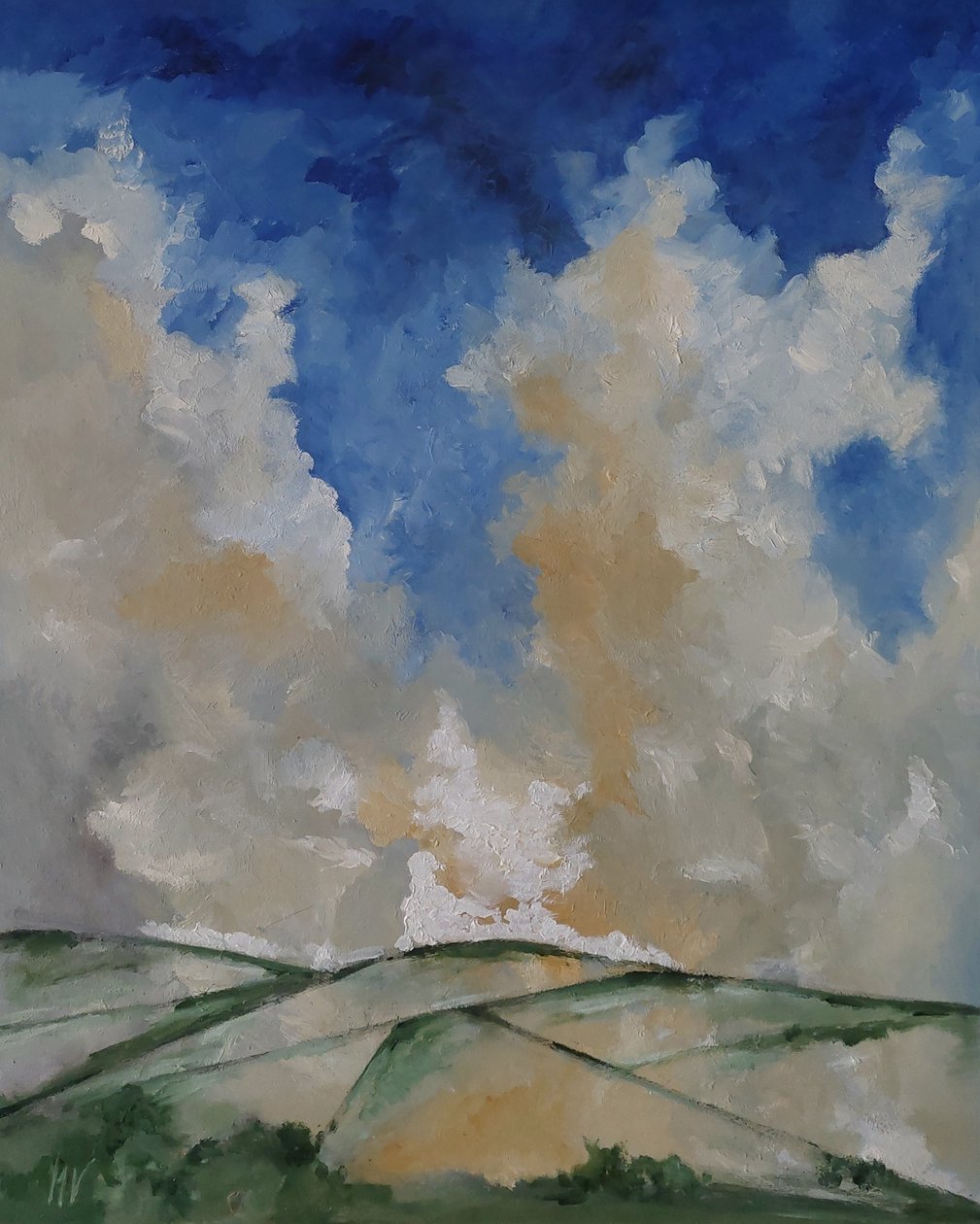 Nuvens e campos de M. Vet
