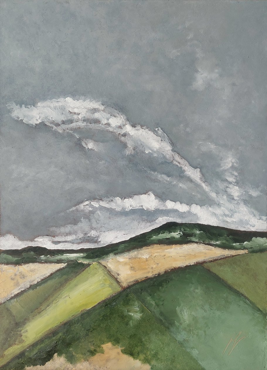 Depois da chuva  de M. Vet