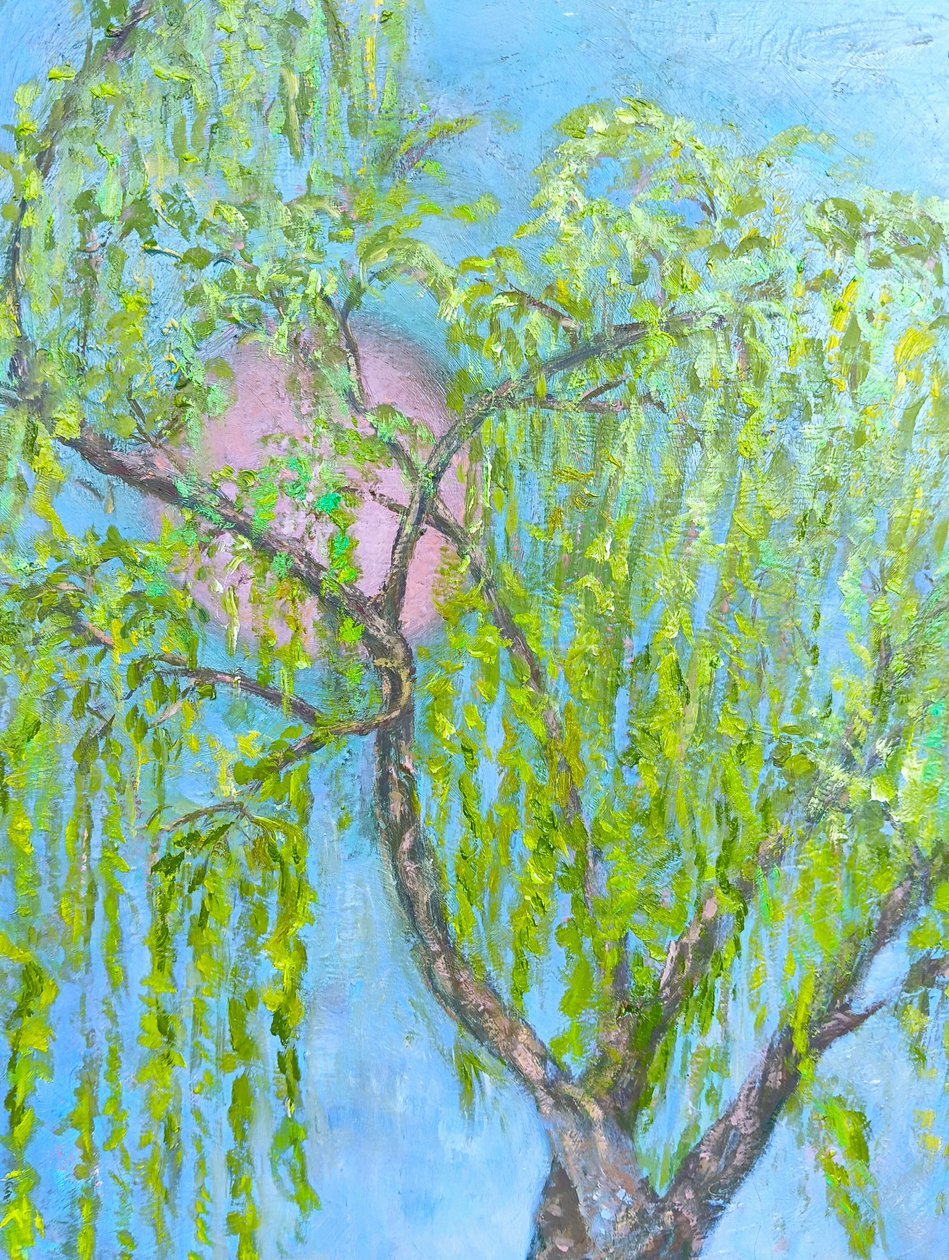 O salgueiro que não sorri de Elzbieta Goszczycka