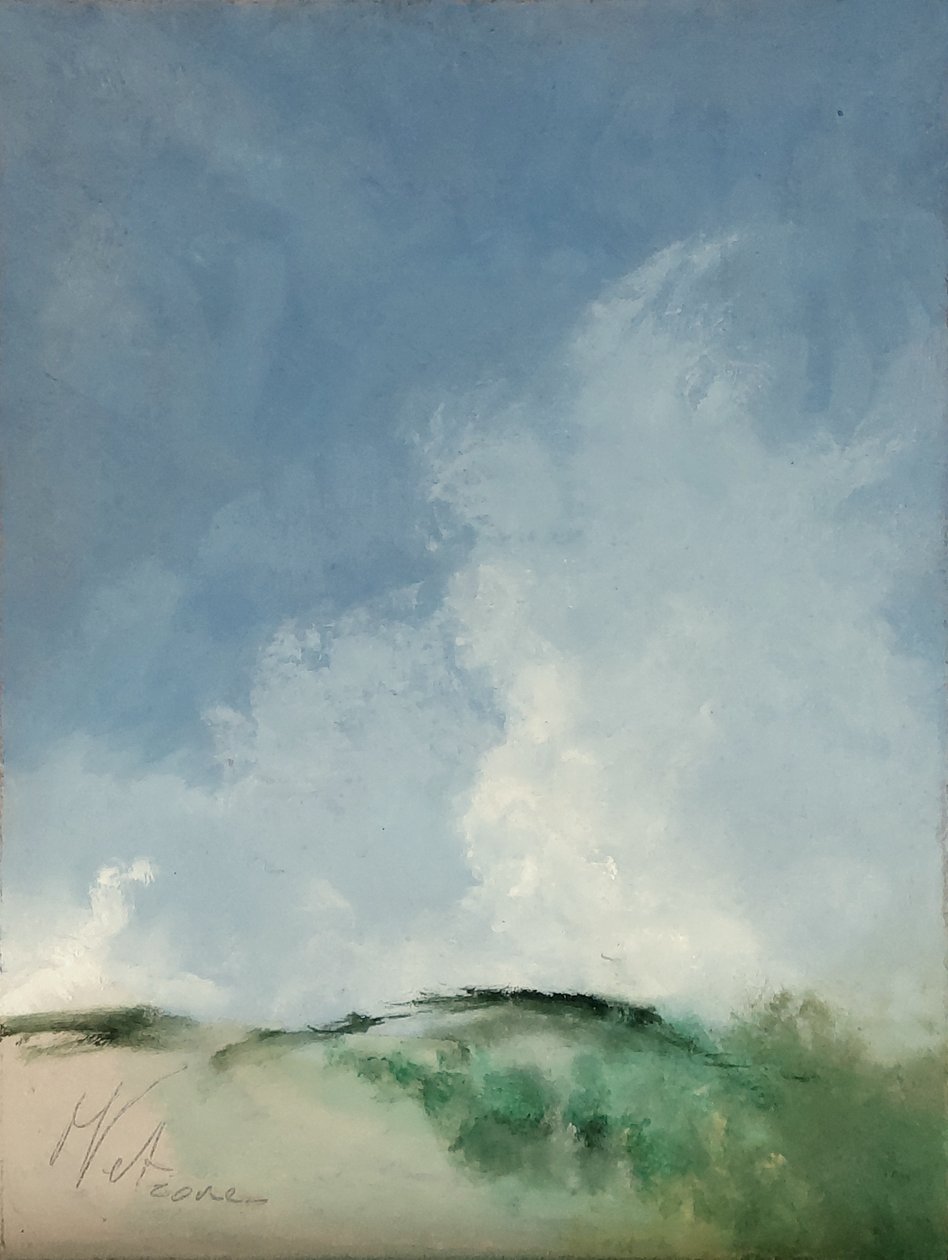 Local pantanoso de M. Vet