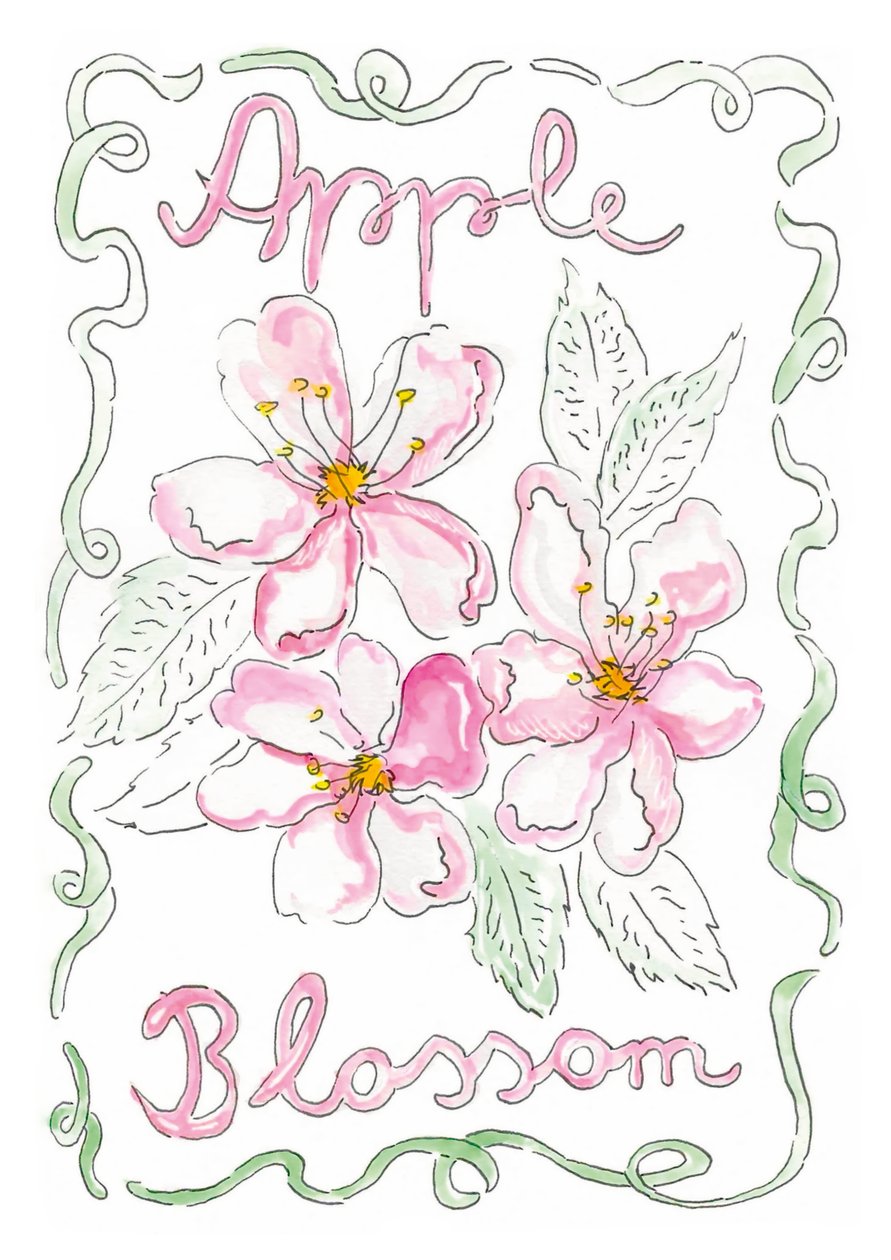 Flor de macieira de june art