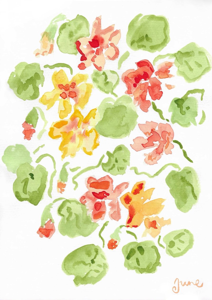 Capuchinhas de june art