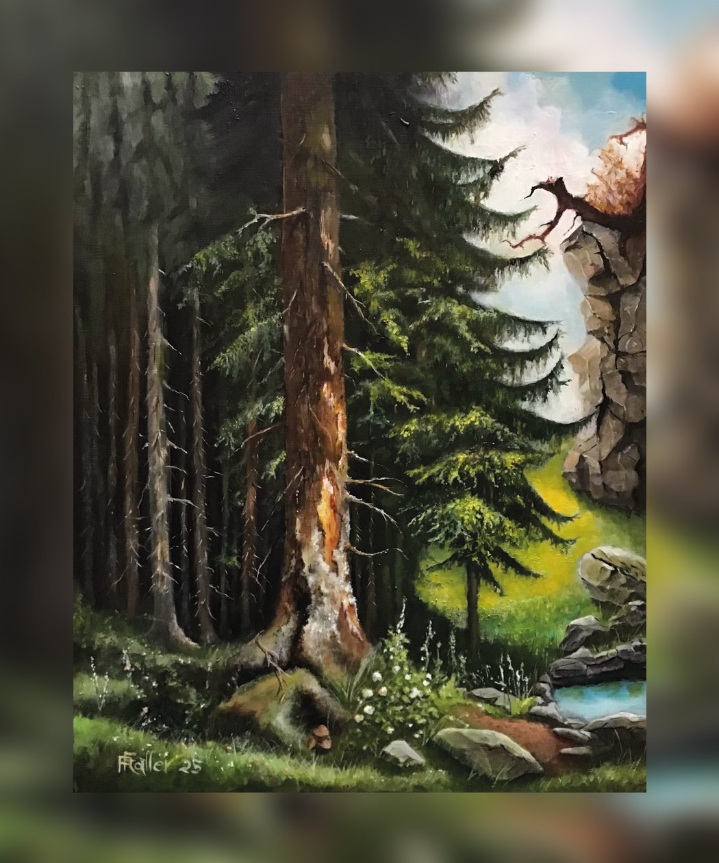 Clareira na floresta profunda de Faller Rüdiger - Tician