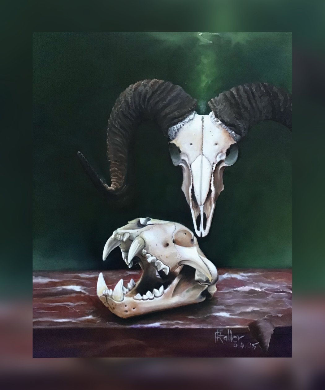 Memento mori (Estudo de crânios de animais) de Faller Rüdiger - Tician
