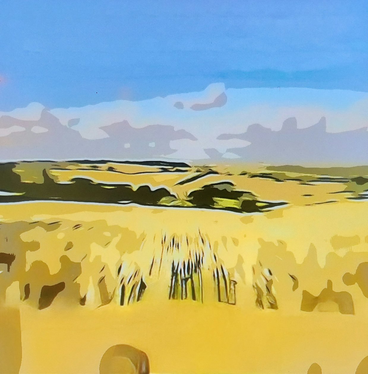 Paisagem digital 15 de M. Vet