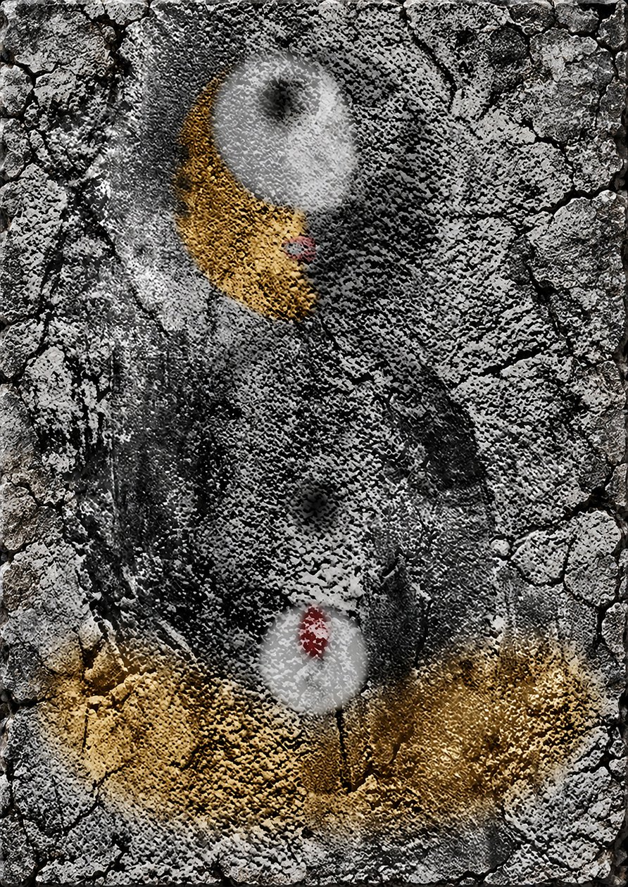 Lascaux (Graffiti) de Alexander Eibach