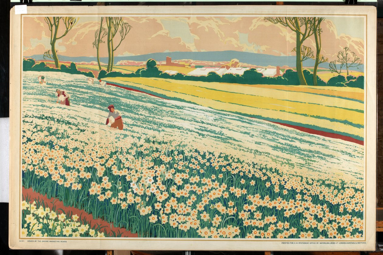 Isles of Scilly, da série "Home Bulbs for Home Gardens" (litografia a cores) de A.A. Moores