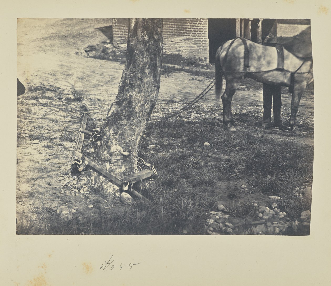 Quebrar e dobrar os carris à volta da árvore de A.J. Russell
