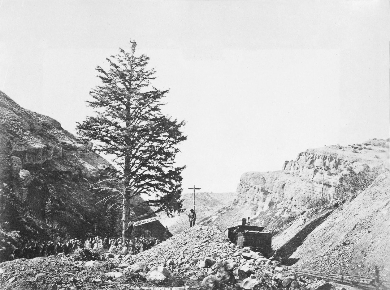 Thousand Mile Tree, Wilhelmina&39;s Pass de A.J. Russell