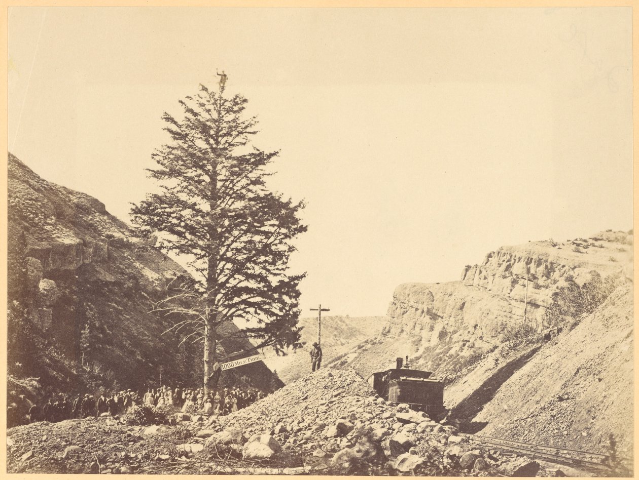 Árvore de Mil Milhas, Passo de Wilhemina de A.J. Russell