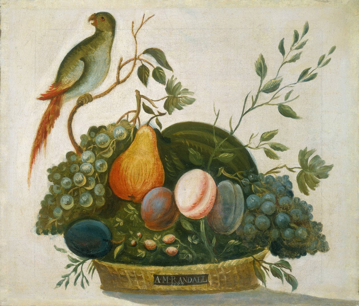 Cesta de Frutas com Papagaio, 1777. de A.M. Randall