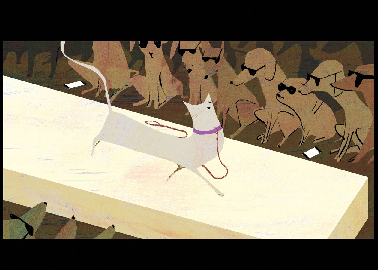 Passarela, 2016 de A.Richard Allen