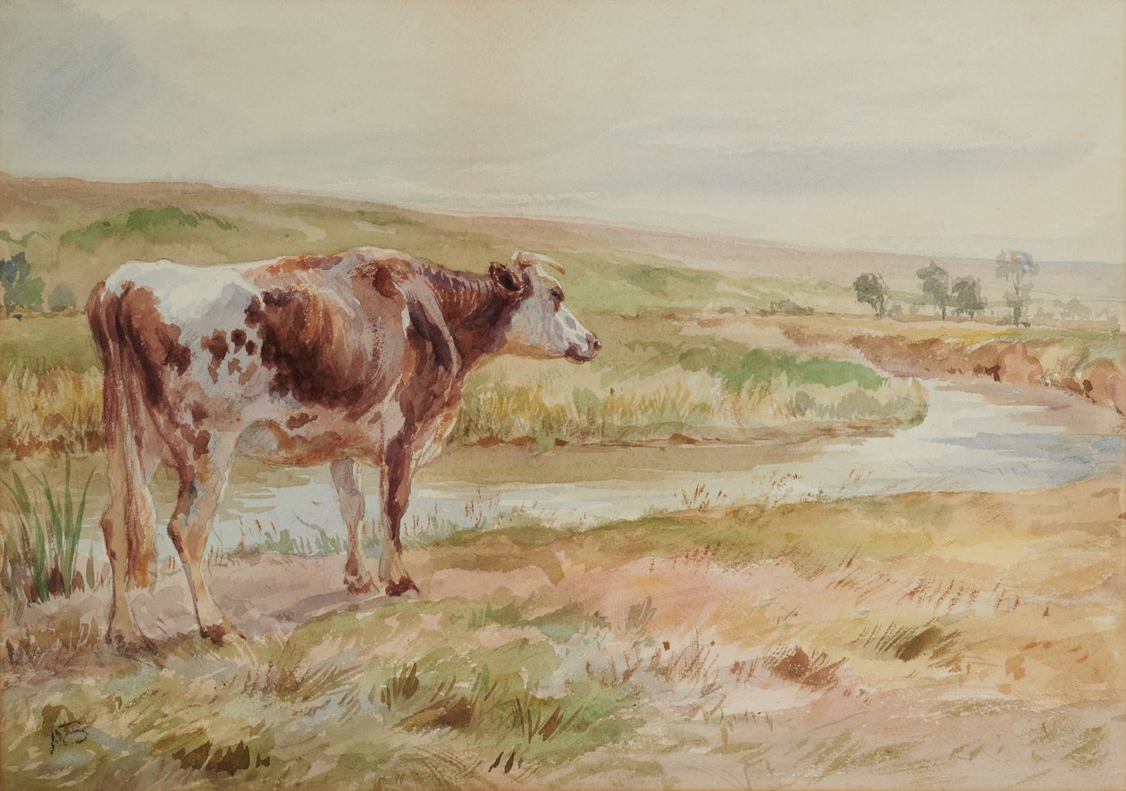 Paisagem com rio e vaca de A Brown