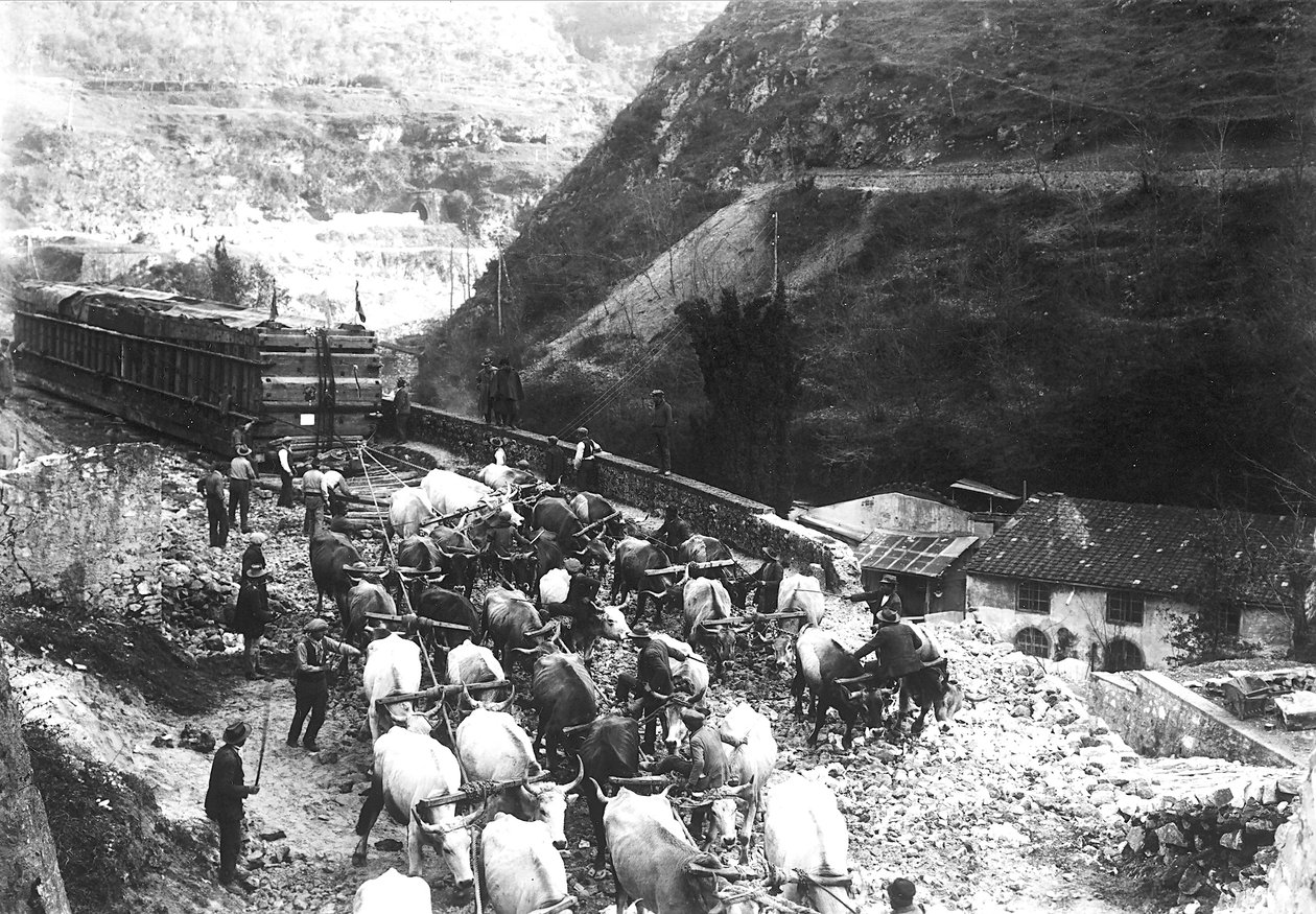 Numerosos bois transportam um enorme comboio contendo mármore, acabado de ser trazido para o vale de uma pedreira apuana (foto a p/b) de A. Corsini
