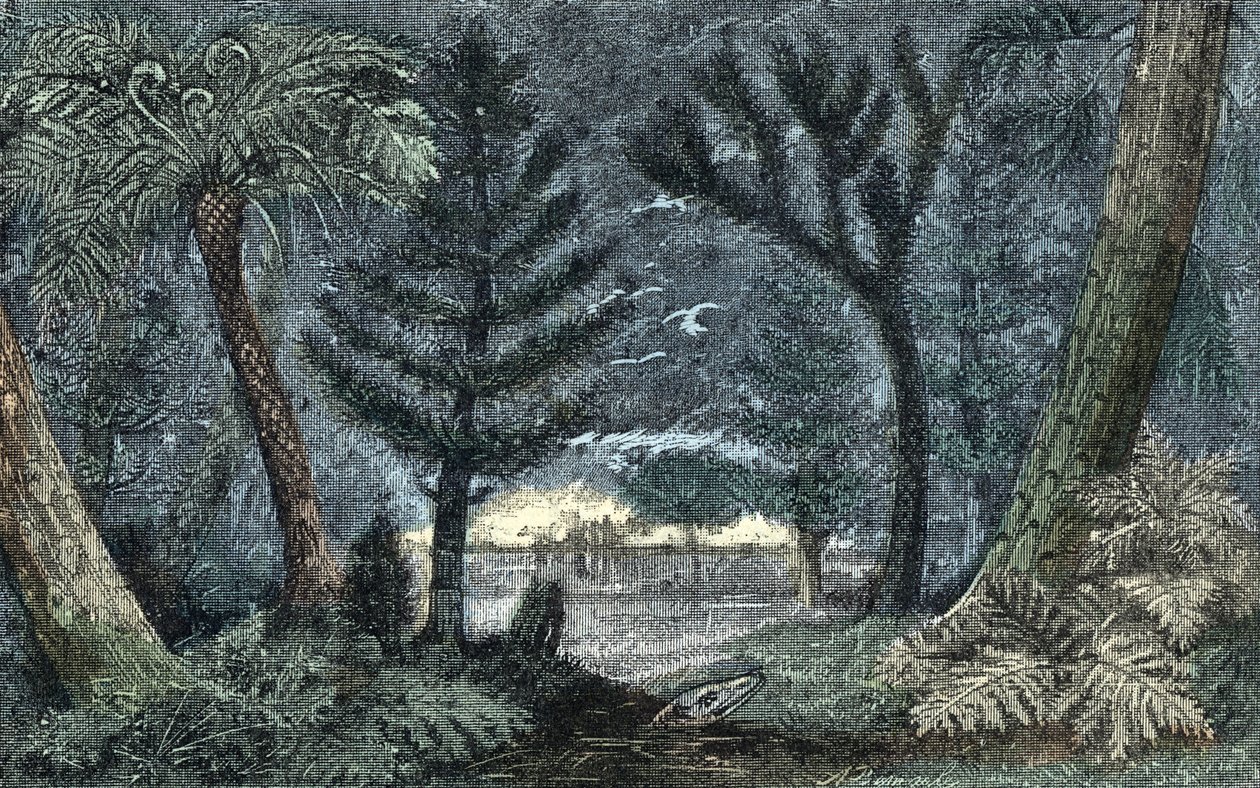 Pré-história: paisagem característica com pântano e floresta de A. Demarle