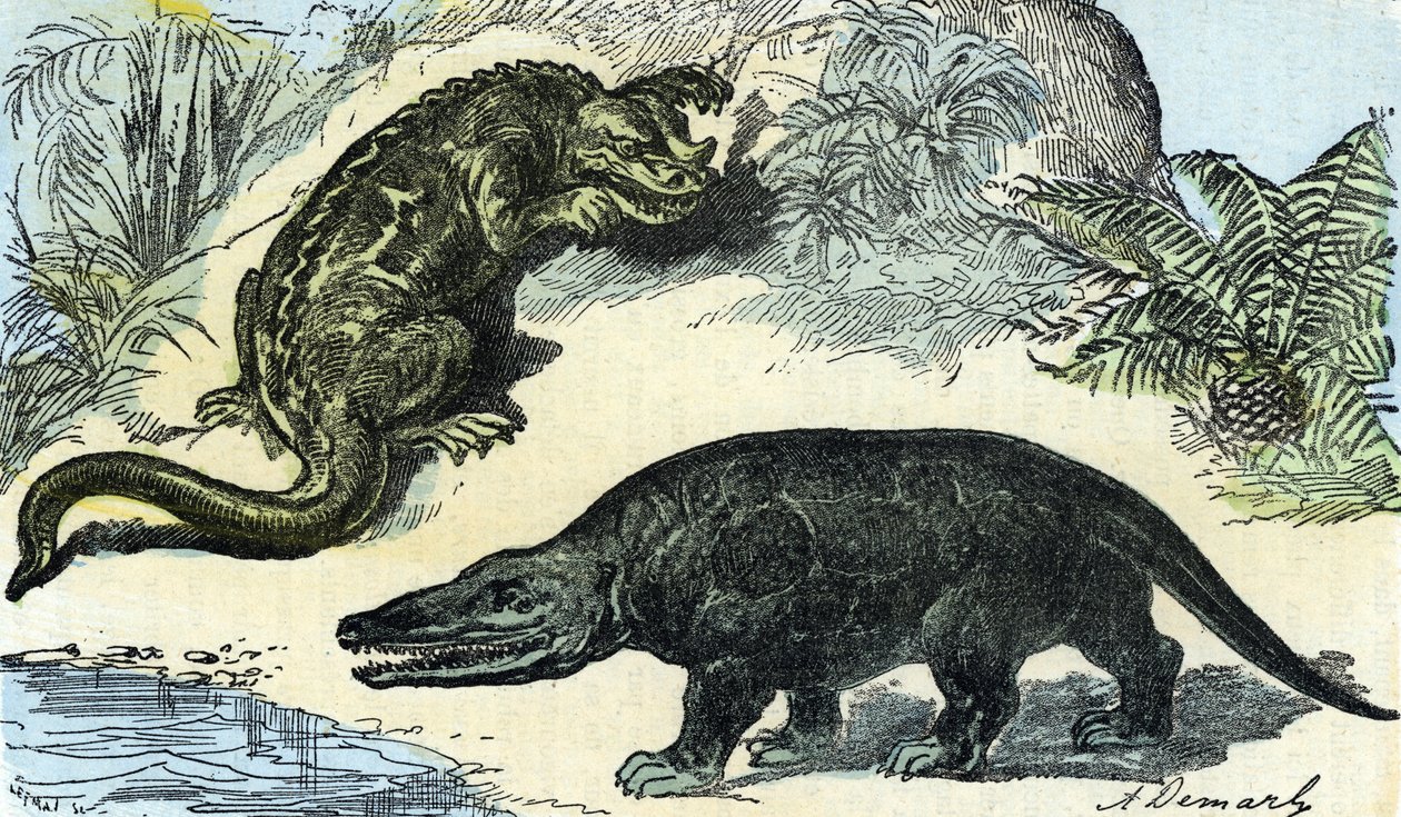Pré-história: representação de um iguanodonte e megalossauro do período cretáceo de A. Demarle