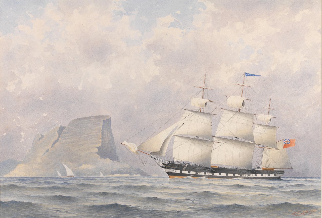 Navio Clipper "Norwood" (1854), c.1854-57 (aguarela) de A. E. Morris