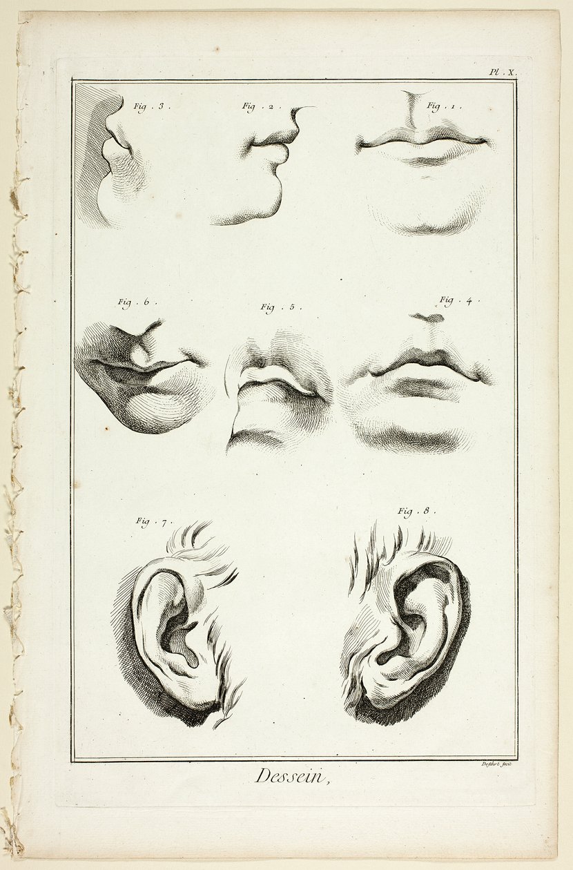 Desenho: Anatomia Facial de Encyclopédie de A. J. Defehrt