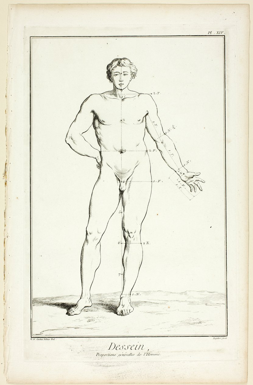 Desenho: Proporções gerais do homem, da Encyclopédie de A. J. Defehrt