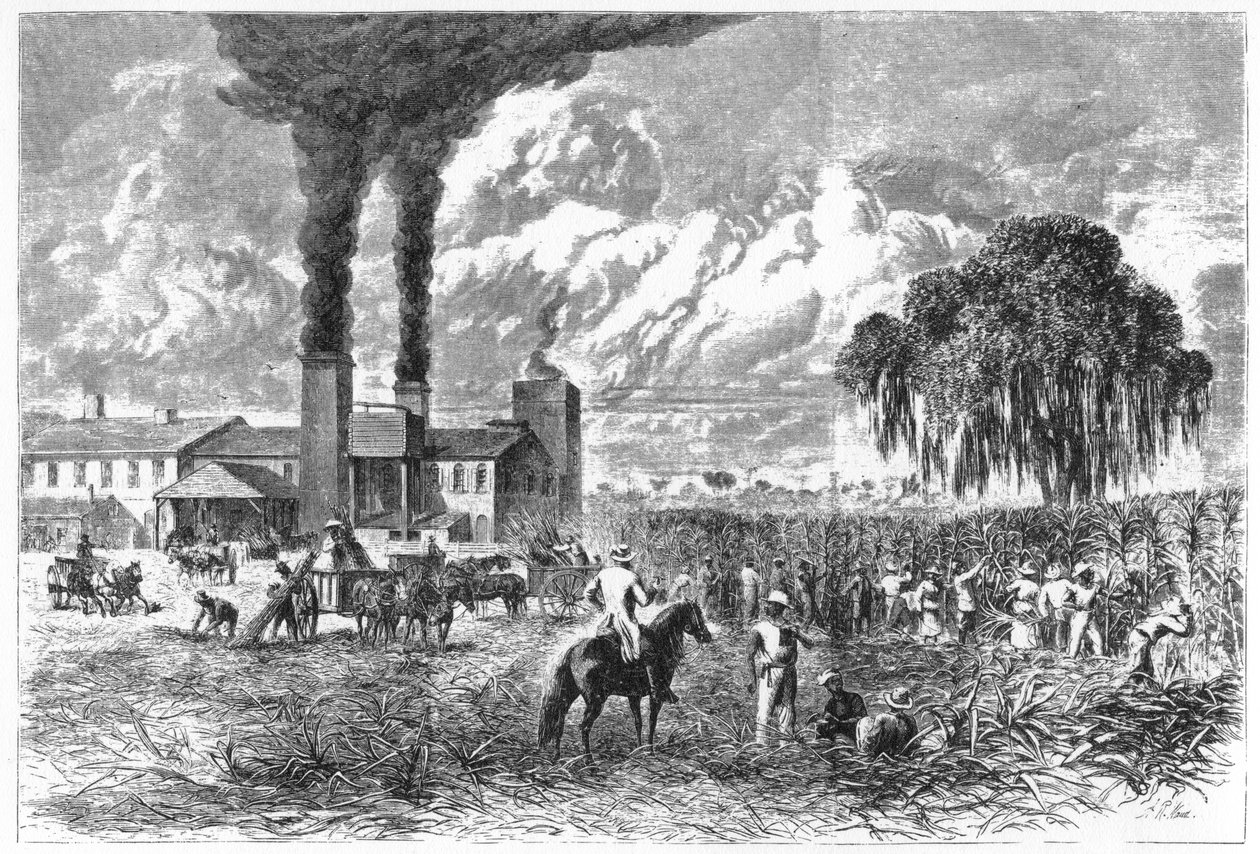 Sugar Plantation, Nova Orleans, 1870. de A. R. Ward