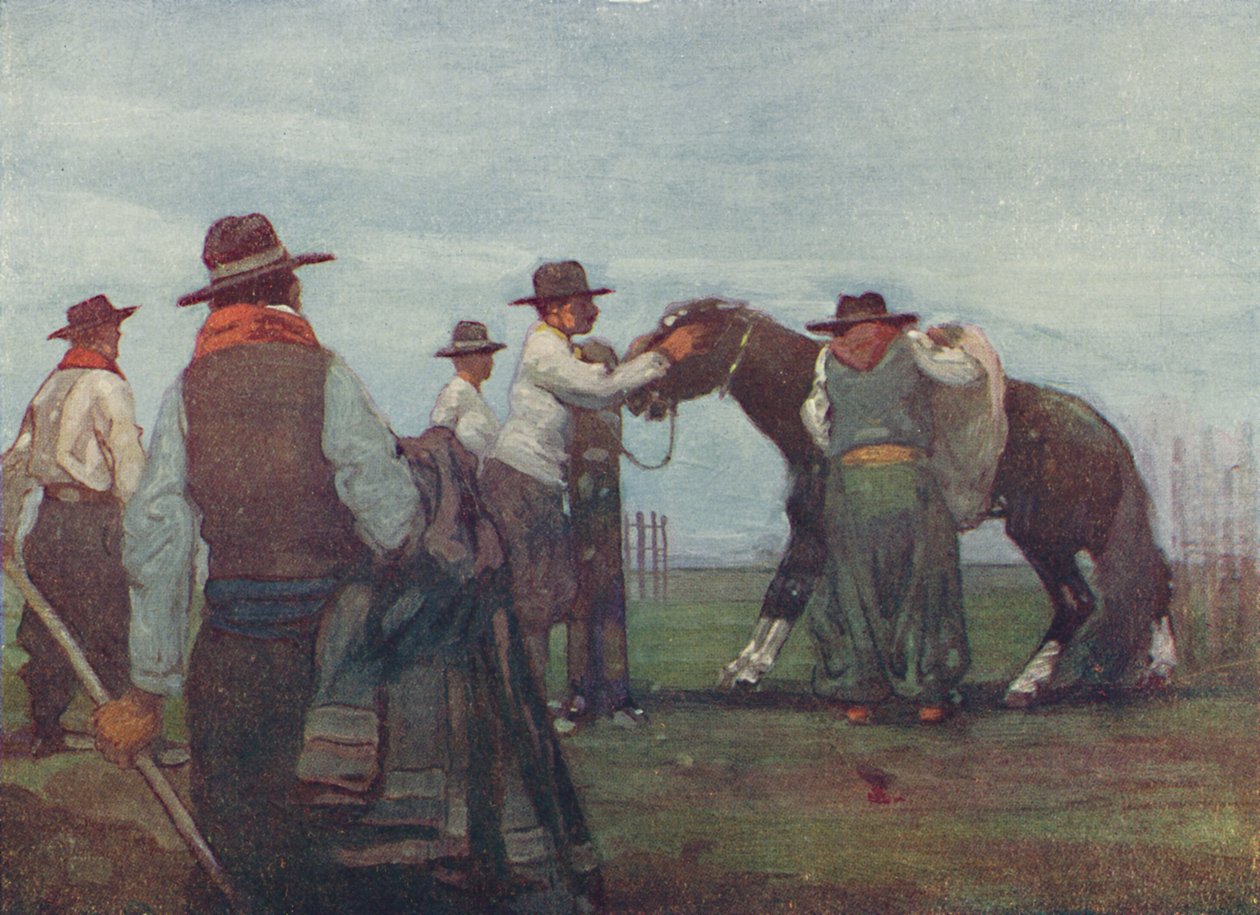 Gaúchos quebrando em um cavalo jovem, 1916 de A. S. Forrest