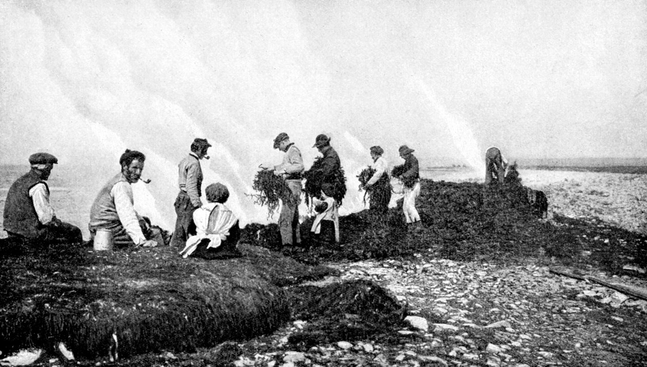 Queima de algas para algas, Aran Islands, Irlanda, 1922. de A. W. Cutler