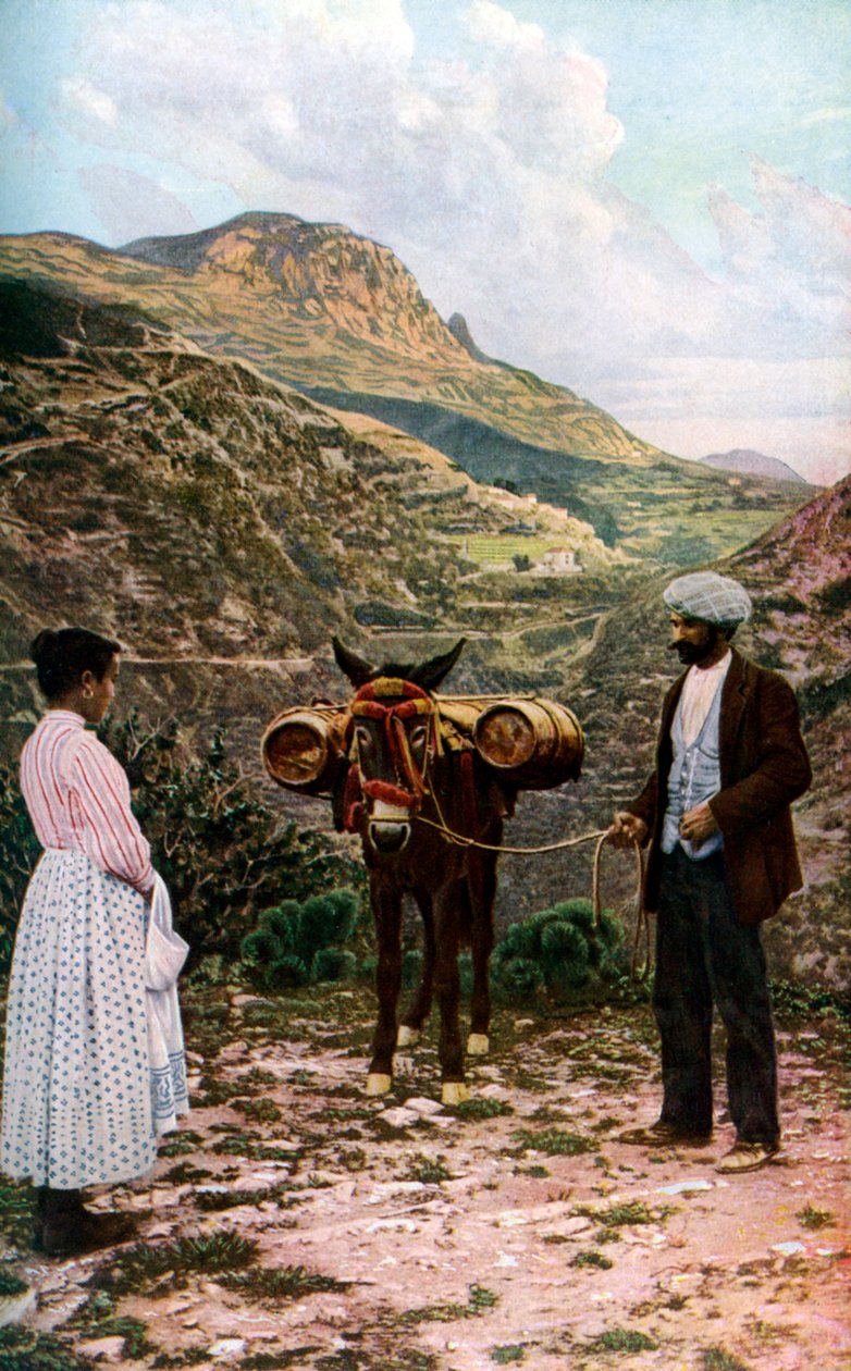 Mula com barris de água, Sicília, Itália, c1923 de A. W. Cutler