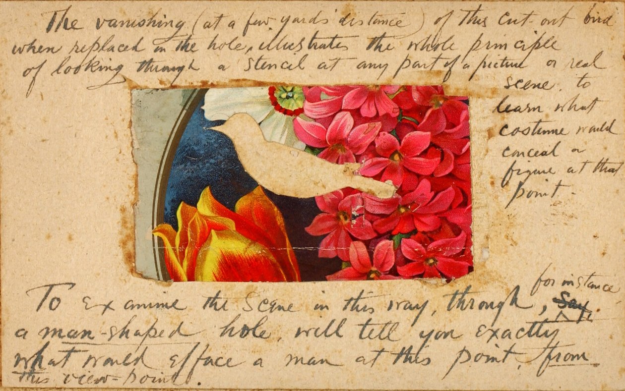 Estêncil de ave, pasta de estudo para o livro "Concealing Coloration in the Animal Kingdom de Abbott Handerson Thayer
