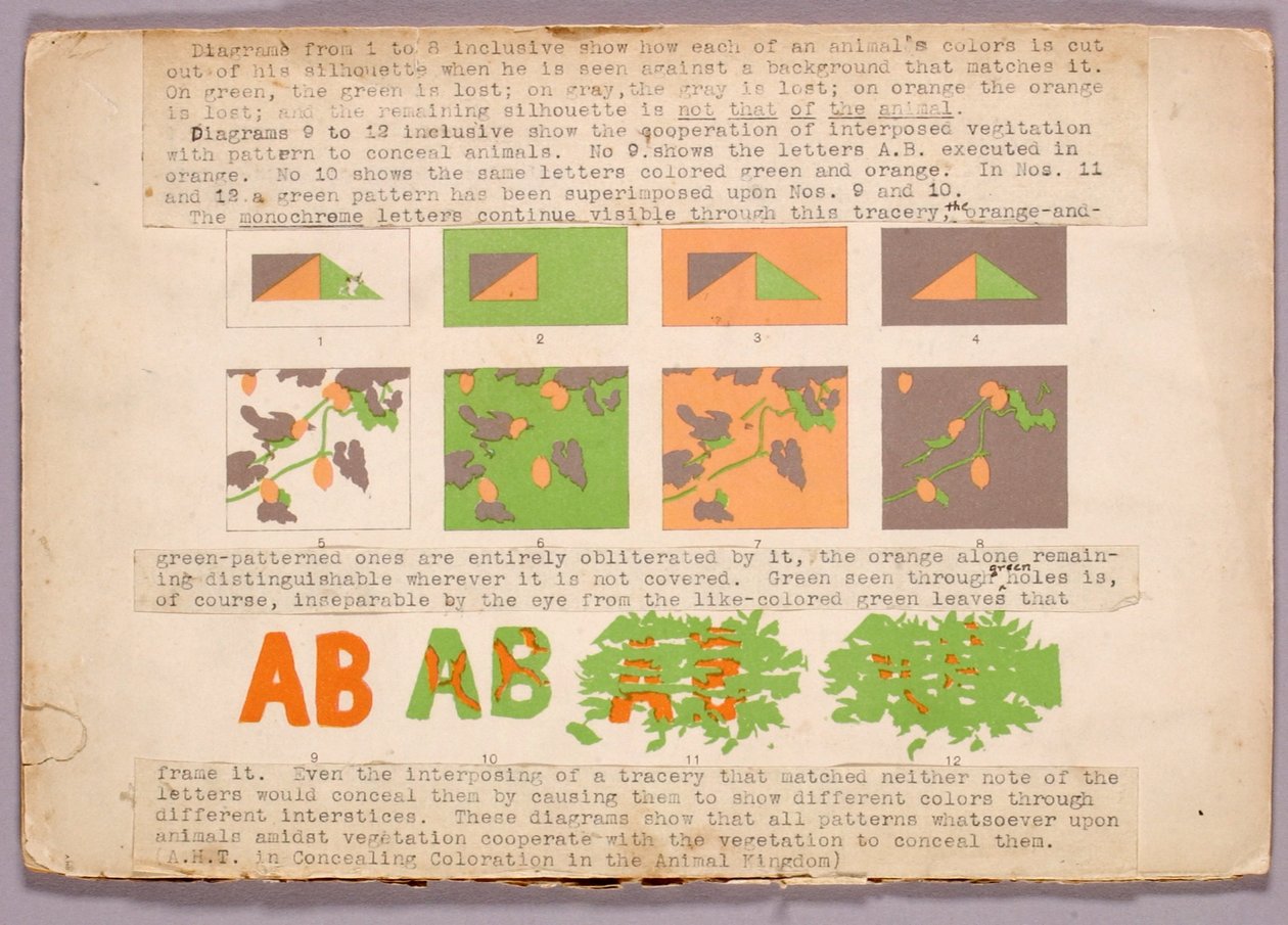 Diagramm und Kupferkopfschlange, Studienmappe für das Buch Concealing Coloration in the Animal Kingdom de Abbott Handerson Thayer