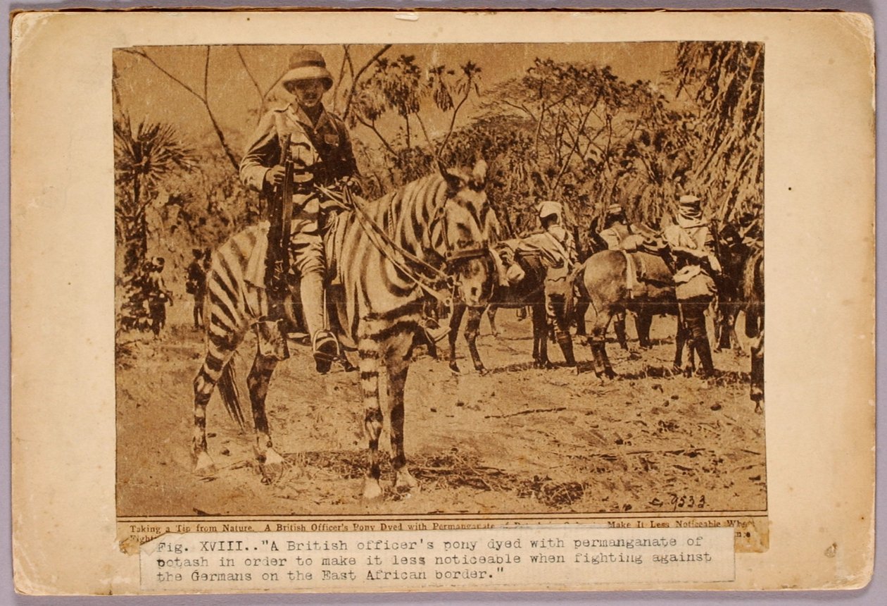 Cavalo e cruzador camuflados, pasta de estudo para o livro Concealing Coloration in the Animal Kingdom de Abbott Handerson Thayer