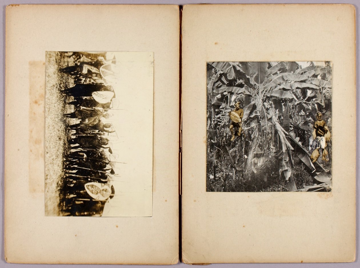 Maoris e outros selvagens, pasta de estudos para o livro Concealing Coloration in the Animal Kingdom de Abbott Handerson Thayer