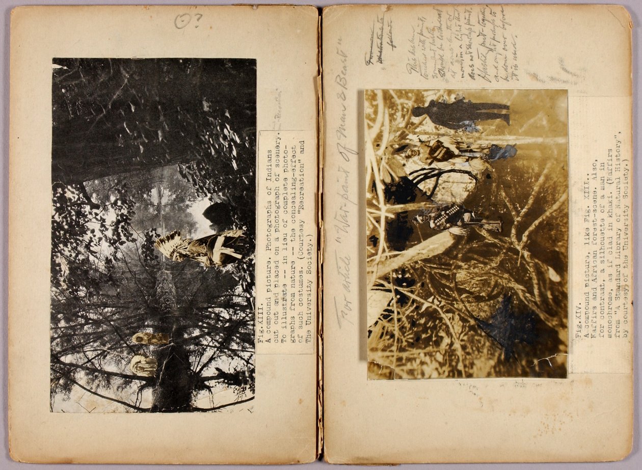 N. Índios americanos, pasta de estudo para o livro Concealing Coloration in the Animal Kingdom de Abbott Handerson Thayer
