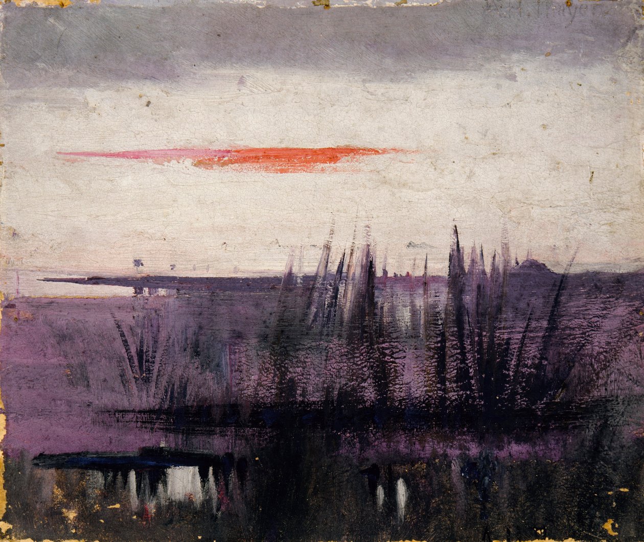 The Sky Simulated by White Flamingoes estudo para o livro, Concealing Coloration in the Animal Kingdom de Abbott Handerson Thayer