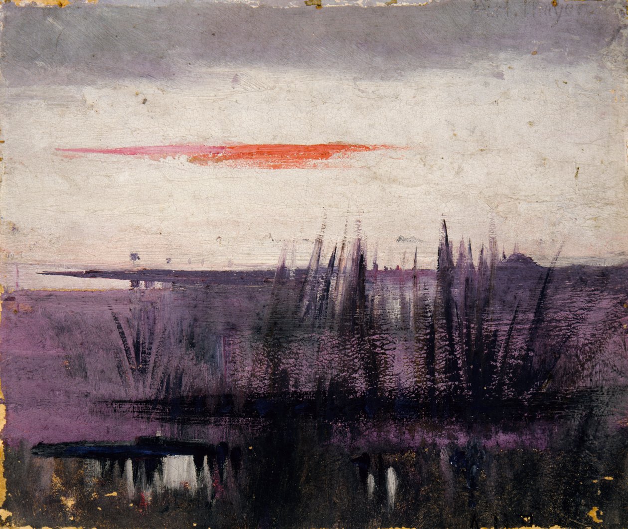 O Céu Simulado por Flamingos Brancos estudo para livro..., no Reino Animal, ca. 1905-1909. de Abbott Handerson Thayer