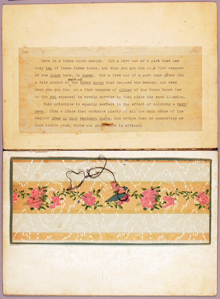Desenho de um pássaro em três tons, pasta de estudo para o livro «A Camuflagem no Reino Animal» de Abbott Handerson Thayer