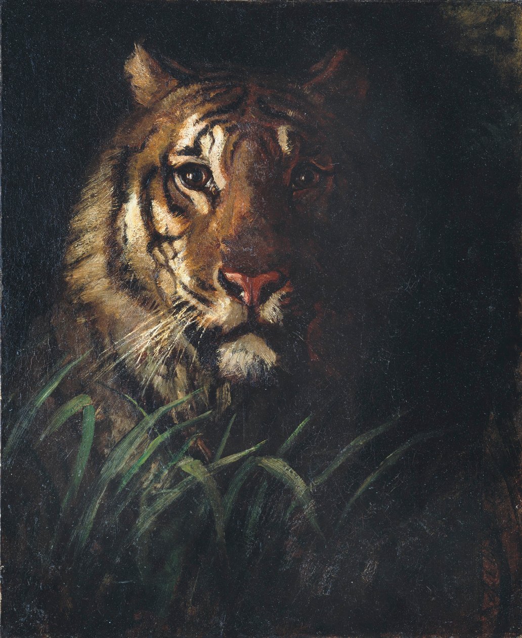 Cabeça de tigre de Abbott Handerson Thayer