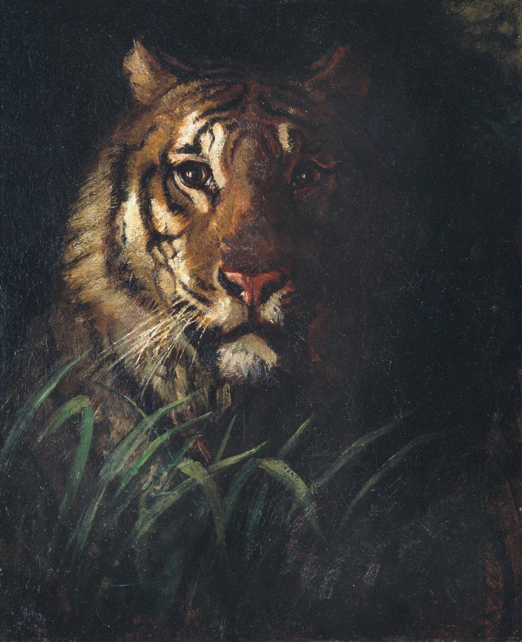 Cabeça de Tigre, c. 1874. de Abbott Handerson Thayer