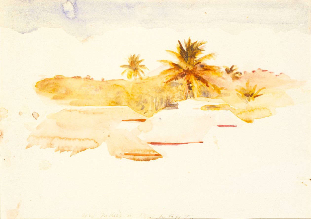 Índias Ocidentais, s.d. de Abbott Handerson Thayer
