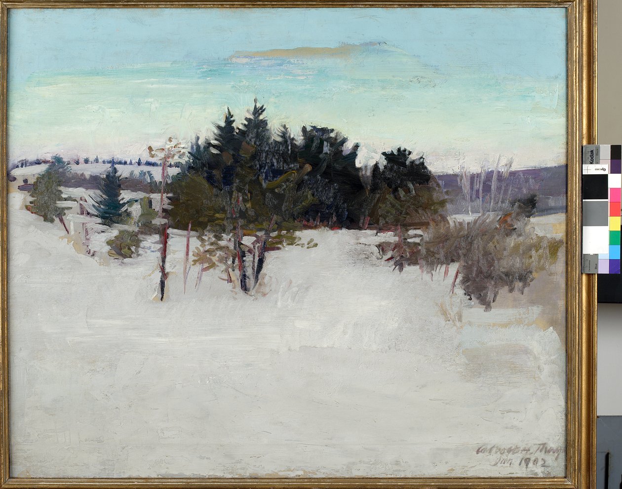 Paisagem de inverno, 1902 de Abbott Handerson Thayer