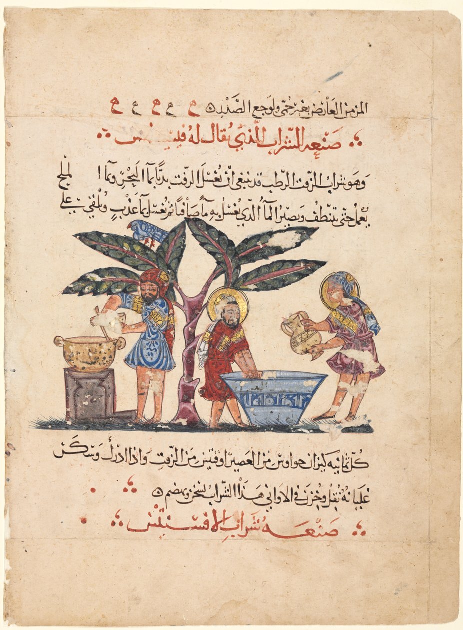 Fólio de uma tradução árabe da Materia Medica de Dioscorides, 1224. de Abdallah ibn al Fadl